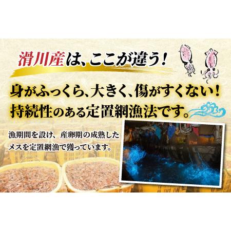 ふるさと納税 鶴瓶の家族に乾杯で放送5.13【先行予約】ボイルほたるいか【川村水産】※25年3月上旬以降順次発送予定 富山県滑川市｜furunavi｜02