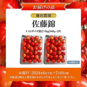 ふるさと納税 [先行受付] 北海道 仁木町産 さくらんぼ 佐藤錦 1kg (500g&times;2) L-LLサイズ混合 サクランボ 果物 フルーツ チェリー 仁木 果物.. 北海道仁木町