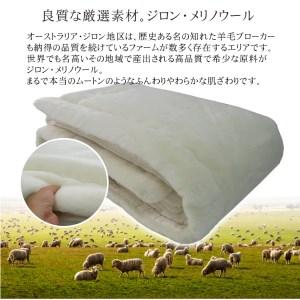 ふるさと納税 C.R.P加工 メリノウール敷きパッド シングル アイボリー 1枚 31000IV [2358] 大阪府泉大津市_1