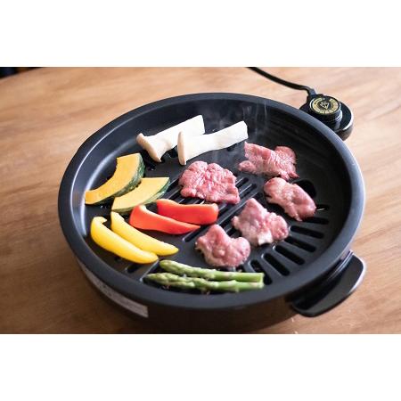 ふるさと納税 【ふるなび限定】消煙グリラー ヘルシートーク　FN-Limited-SP 新潟県燕市