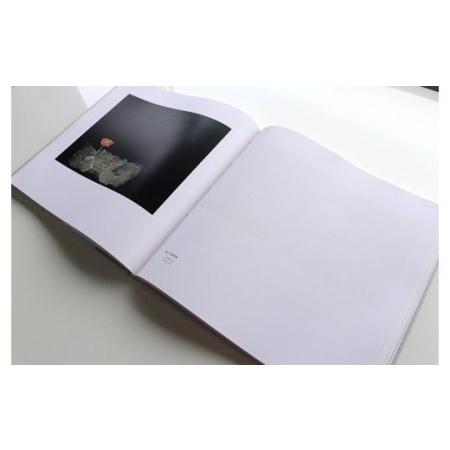 ふるさと納税 韮崎大村美術館入場券1枚＋画集「荘司福」1冊 [韮崎大村美術館 山梨県 韮崎市 20743396] 山梨県韮崎市_3