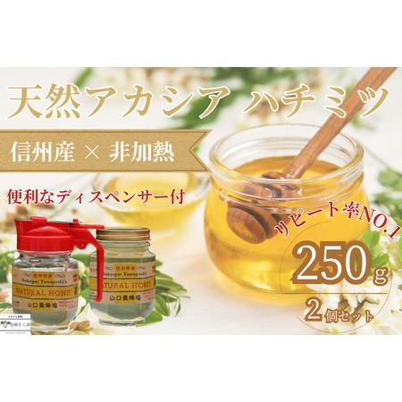 ふるさと納税 信州特産！！「国産純粋 天然はちみつ アカシア」 2個