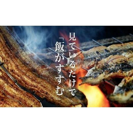 ふるさと納税 【5〜6ヶ月待ち】一色産うなぎ職人手焼き(蒲焼2尾)・U006 愛知県西尾市|furunavi|03