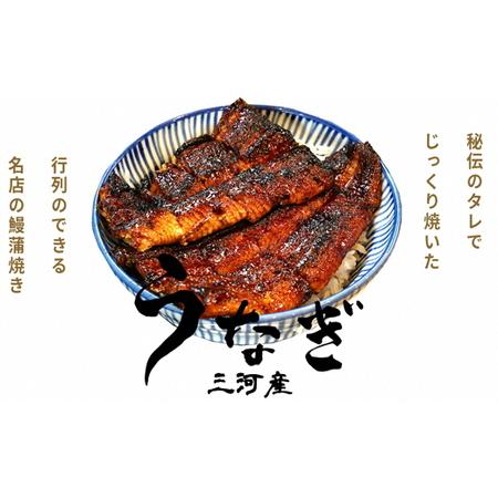 ふるさと納税 一色産うなぎ職人手焼き(蒲焼2尾)・U006-17 愛知県西尾市 