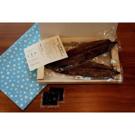 ふるさと納税 一色産うなぎ職人手焼き(蒲焼2尾)・U006-17 愛知県西尾市 