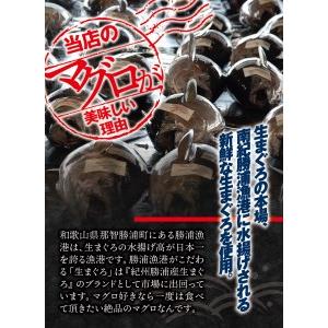 ふるさと納税 まぐろ とろ煮(180g)×15袋 まぐろ チャーシュー(1本約170g)×10袋  / まぐろ丼 お刺身 撥ね除ける済み チャーシュー スライ.. 和歌山県新宮市
