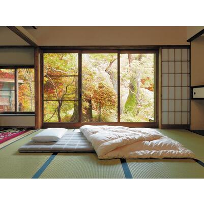 ふるさと納税 [大府市産お米2kg付]エアウィーヴ 四季布団 ダブル エアウィーヴ 寝具 愛知県大府市