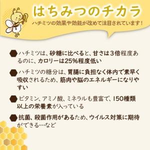 ふるさと納税 KYOTOTANGOHONEY森の百花蜜純粋天然ハチミツ５００ｇ 蜂蜜・はちみつ・国産・天然・ハチミツ・純粋はちみつ 京都府京丹後市の画像