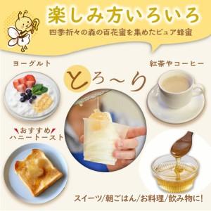 ふるさと納税 KYOTOTANGOHONEY森の百花蜜純粋天然ハチミツ３００ｇ（ボトル）×２本 ボトル入り はちみつセット 非加熱 天然 ハチミツ は.. 京都府京丹後市の画像