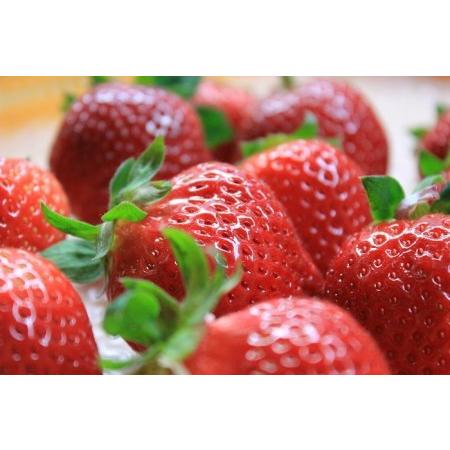 ふるさと納税 10230 中津川市之瀬 素材の旨みを最大限に活かしたジェラート「 極−きわみー 厳選8種set 」 岐阜県中津川市|furunavi|02