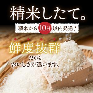 ふるさと納税 3人に1人がリピーター!☆全6回定期便☆ 岩手ふるさと米 10kg(5kg×2)×6ヶ月 令和5年産 一等米ひとめぼれ 東北有数のお米.. 岩手県奥州市｜furunavi｜05