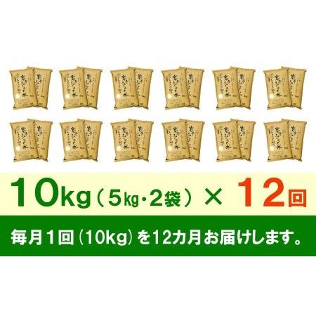 ふるさと納税 3人に1人がリピーター!☆全12回定期便☆ 岩手ふるさと米 10kg(5kg×2)×12ヶ月 一等米ひとめぼれ 令和4年産 新米 東北有数.. 岩手県奥州市|furunavi|03