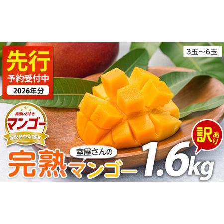 ふるさと納税 [2026年発送]訳あり 完熟 マンゴー 約1.6kg 3〜6玉 中園久太郎商店 IB016-002 マンゴー フルーツ 果物 わけあり 鹿児島県指宿市