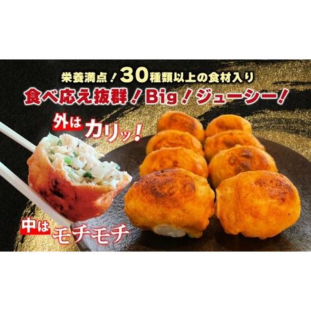 ふるさと納税 餃子のはながさ ホワイト餃子 64個 16個×4パック ふるさと納税 餃子のはながさ ホワイト餃子 64個 16個×4パック