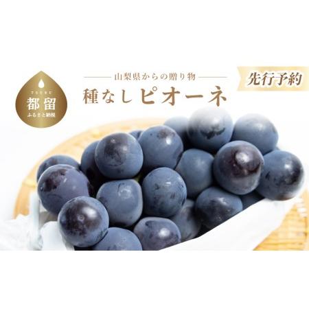 ふるさと納税 山梨県産 種なしピオーネ2〜3房(約1.0Kg） 【2026年発送