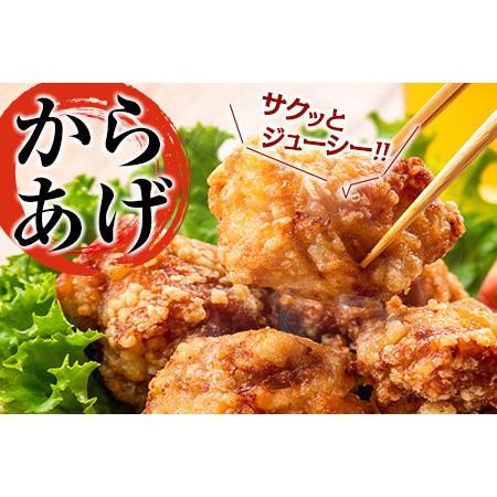 ふるさと納税 ≪緊急支援品≫『鶏もも肉切身』計3kg(300g×9袋&300g×1袋付き) 肉 鶏 鶏肉 B157-21-01 宮崎県日南市|furunavi|02