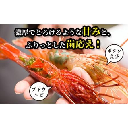 ふるさと納税 幻のえび 北海道 知床 羅臼 ぶどうえび 中 250g 7 8尾 F21m 543 北海道羅臼町 激安 超特価