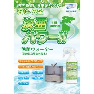 ふるさと納税　R14039　大容量20L　除菌ウォーター「次亜パワー!!」安心・安全な強力除菌・消臭剤　大分県大分市