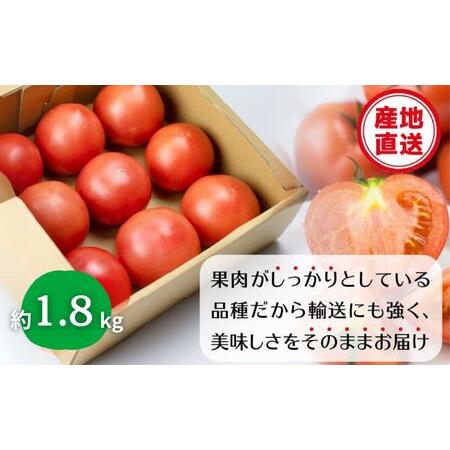 ふるさと納税 《先行予約》令和8年産 飛騨トマト 約1.8kg / トマト とまと 野菜 岐阜県飛騨市_1