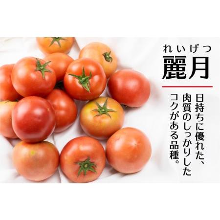 ふるさと納税 《先行予約》令和8年産 飛騨トマト 約1.8kg / トマト とまと 野菜 岐阜県飛騨市_2