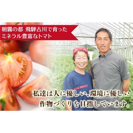 ふるさと納税 《先行予約》令和8年産 飛騨トマト 約1.8kg / トマト とまと 野菜 岐阜県飛騨市_3