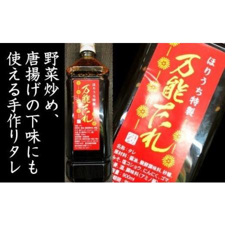 ふるさと納税 No.1100-1 ほりうちの味くろたつけあげ・手ごんにゃく・万能だれセット 鹿児島県錦江町の画像