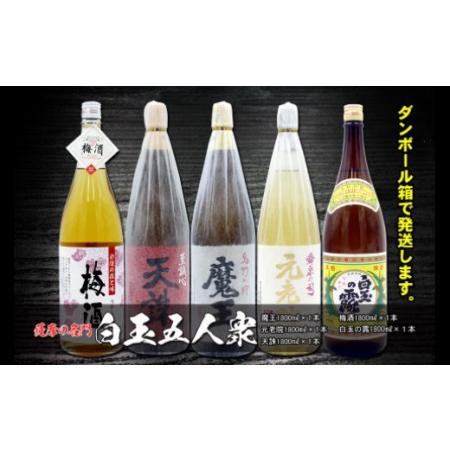ふるさと納税 No.5025-1　薩摩の名門　白玉五人衆　一升瓶５本セット 鹿児島県錦江町