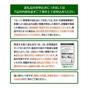 人気商品 ふるさと納税 先行予約22年 旬の野菜 菜の花 パック入り 約600g 12月上旬 23年3月下旬 T006 279 香川県高松市 Wantannas Go Id