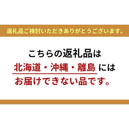 ふるさと納税 【加藤柑橘園】青島三ケ日みかんジュース『極しぼり』2本セット（簡易梱包）【配送不可：北海道・沖縄・離島】 静岡県浜松市｜furunavi｜05