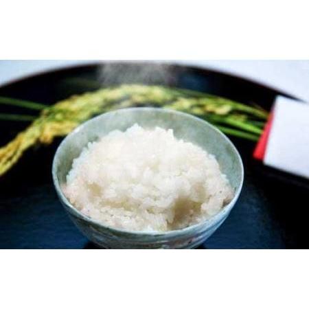 ふるさと納税 特A ランク米【特別栽培米】丹波篠山産コシヒカリ 20kg BA10 兵庫県丹波篠山市 ふるさと納税 【定期便】令和５年産 つや姫１２ｋｇ（２ｋｇ×６袋）×５か月連続お届け　0059-2327 山形県上山市