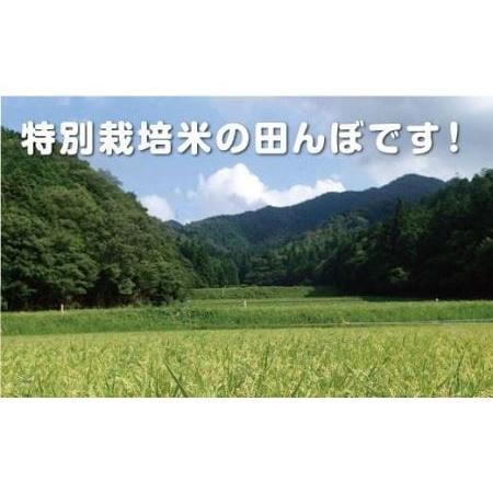 ふるさと納税 丹波篠山産　特Aランク　特別栽培米　越光（５ｋｇ×２袋） Y064 兵庫県丹波篠山市｜furunavi｜03