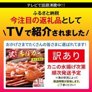ふるさと納税 【訳あり】 浜茹で 香住ガニ 約1kg以上 【令和8年9月中旬以降発送予定】 カニ かに 19-09 兵庫県香美町_1