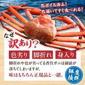 ふるさと納税 【訳あり】 浜茹で 香住ガニ 約1kg以上 【令和8年9月中旬以降発送予定】 カニ かに 19-09 兵庫県香美町_2