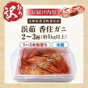 ふるさと納税 【訳あり】 浜茹で 香住ガニ 約1kg以上 【令和8年9月中旬以降発送予定】 カニ かに 19-09 兵庫県香美町_3