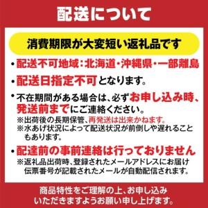 ふるさと納税 【訳あり】 浜茹で 香住ガニ 約1kg以上 【令和8年9月中旬以降発送予定】 カニ かに 19-09 兵庫県香美町_4