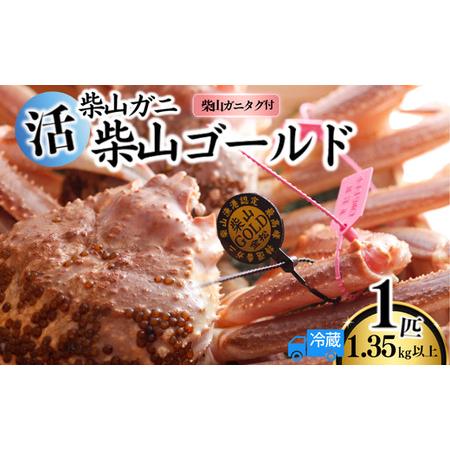 ふるさと納税 [先行予約][柴山産 活け タグ付 柴山ゴールド タグ付 1匹 1.35kg以上 冷蔵]11月中旬以降配送予定 水揚げの関係上、配達日の指.. 兵庫県香美町