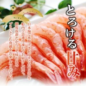 ふるさと納税 紅白エビセット 甘エビ500g 白エビ500g えび 04-02 兵庫県香美町_1