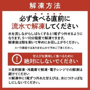 ふるさと納税 紅白エビセット 甘エビ500g 白エビ500g えび 04-02 兵庫県香美町_3