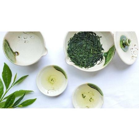 【クーポン】 ふるさと納税 京の名匠 山下壽一作 最高傑作玉露 屋敷の茶8g×30個入 京都府京田辺市 【MY1574492845】(55440円)