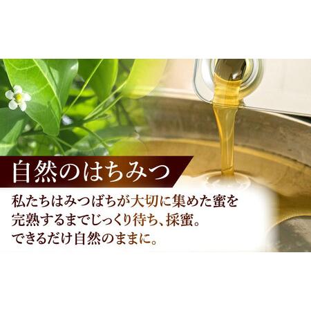 ふるさと納税 東美濃厳選 季節のはちみつ 味わい極ギフト 120g×6本 瑞浪市 / 堀養蜂園 おまかせ 蜂蜜 国産 [AZCF003] 岐阜県瑞浪市の画像