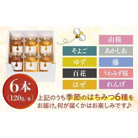 ふるさと納税 東美濃厳選 季節のはちみつ 味わい極ギフト 120g×6本 瑞浪市 / 堀養蜂園 おまかせ 蜂蜜 国産 [AZCF003] 岐阜県瑞浪市の画像