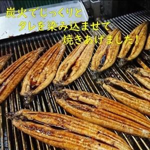 ふるさと納税 幻の超特大うなぎ2尾セット 高知県土佐市|furunavi|02