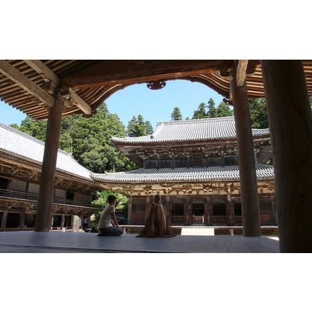 （新品,未開封） ふるさと納税 姫路市　旅ゴー！クーポン（30，000点） 兵庫県姫路市 【L1262661159】(44460円)