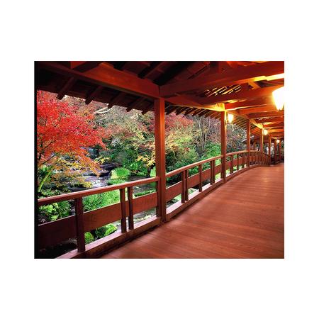 （新品,未開封） ふるさと納税 姫路市　旅ゴー！クーポン（30，000点） 兵庫県姫路市 【L1262661159】(44460円)