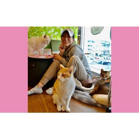 GENERATIONS ジェ猫 6IX PIECEアルバム フィギュア　トレカ GENERATIONS ジェ猫 6IX PIECEアルバム フィギュア トレカ