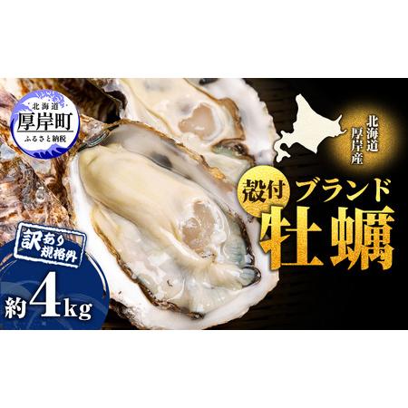 9750円 大感謝セール ふるさと納税 訳あり 規格外 北海道厚岸産 殻付カキ マルえもん 約4kg 25個 50個 カキナイフ付 北海道厚岸町