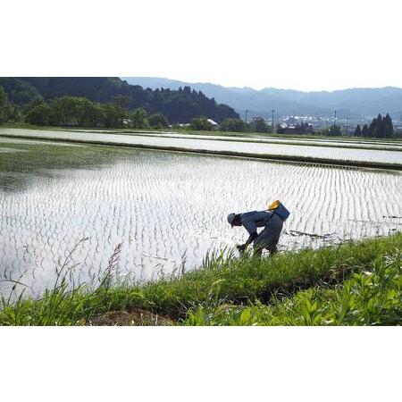 ふるさと納税 【JAみなみ魚沼定期便】南魚沼産こしひかり （3kg×全6回） 新潟県南魚沼市｜furunavi｜05