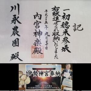 ふるさと納税 【令和5年産 】新潟県 南魚沼産 コシヒカリ お米 こしひかり 精米 酵素米 のし 贈り物  熨斗 贈答用 令和5年産 川永農園 伊勢神.. 新潟県南魚沼市｜furunavi｜04