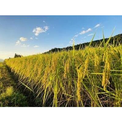 【まとめ売り】 ふるさと納税 【頒布会】５kg×12ヶ月　厳選こだわり南魚沼産コシヒカリ 雪室貯蔵「こまがた農園のお米」 新潟県南魚沼市 【JSB2751383093】(96880円)