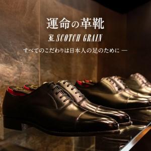 ふるさと納税 スコッチグレイン ビジネスシューズ メンズ オデッサ 916 ストレートチップ 革靴 本革 日本製 E 送料無料 父の日 ギフト 26.0cm 東京都墨田区の画像